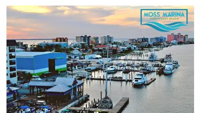 Moss Marina