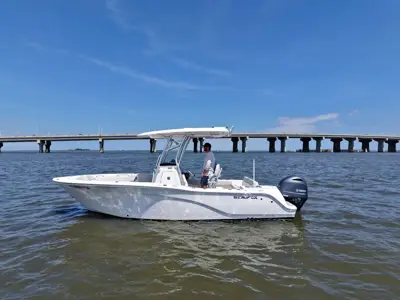 2024 Sea Fox 228 Commander