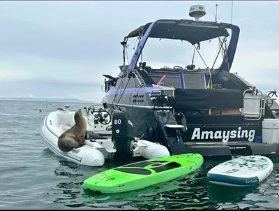 1991 Mainship Open bow