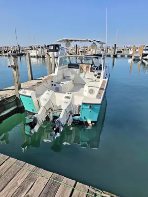 1987 Bayliner trophy