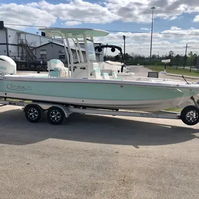 2019 Robalo 246 cayman
