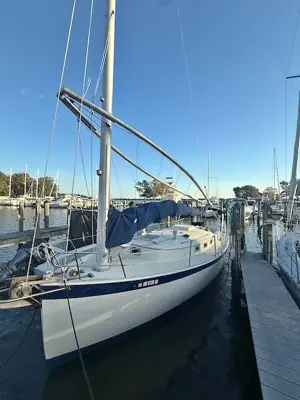 1984 Hinterhoeller Nonsuch 30U
