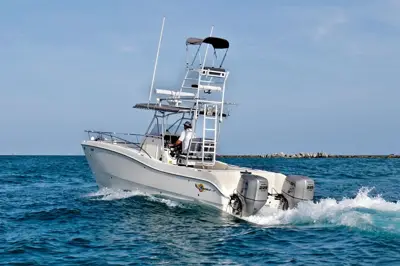 2002 World Cat 266 SF