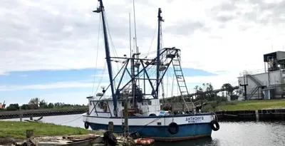 iqf shrimp boat