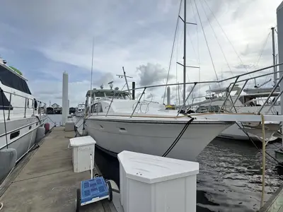1974 Bertram 46.6