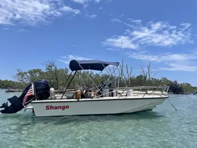 1987 Boston Whaler outrage 19