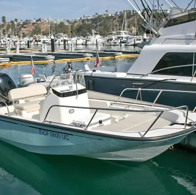 2019 Boston Whaler Montauk
