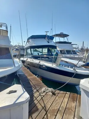 1979 Sea Ray Fly Bridge will trade