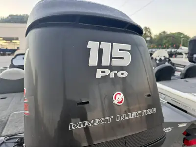 2019 Used Tracker pro team 190