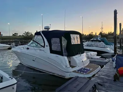 2004 Sea Ray sundancer 300
