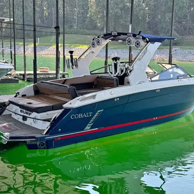 2021 COBALT R8 SURF