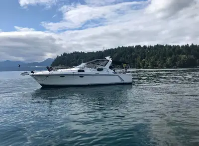 1989 Trojan 11 meter