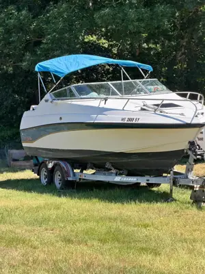 1995 Crownline 225