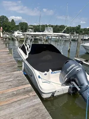 2019 Robalo 247