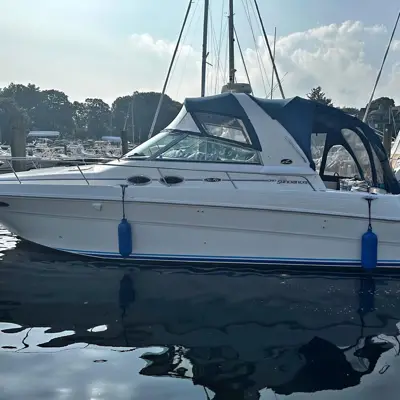 2001 Sea Ray Sundancer 310