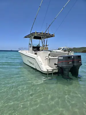 2001 Robalo 26