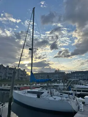 1984 Feeling 850 Liveabord Sailboat – Diesel Inboard Motor – Starlink Internet