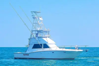 1988 Ronin RN-38 Convertible Sportfisher