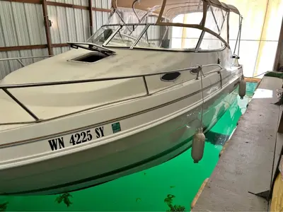 Wellcraft Cabin Cruiser Boat