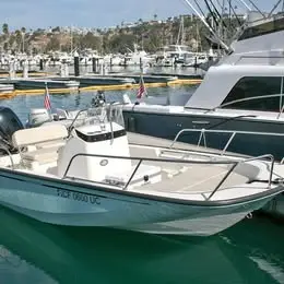 2019 Boston Whaler Montauk
