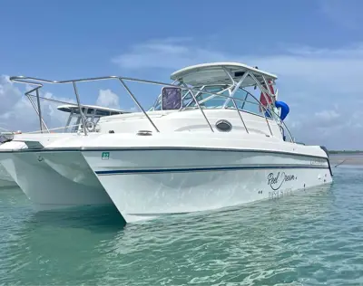 2010 Glacier Bay World Cat 2670 isle runner 26ft w/ trailer
