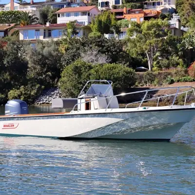 1986 Boston Whaler Outrage