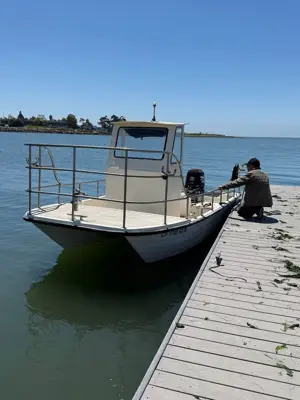 1993 Livingston 155 Catamaran