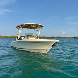 2013 Chris Craft catalina 23