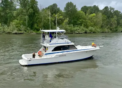 1981 Bertram 46.6