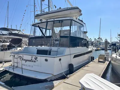 Ocean Alexander 44’, Sundeck, cockpit MY