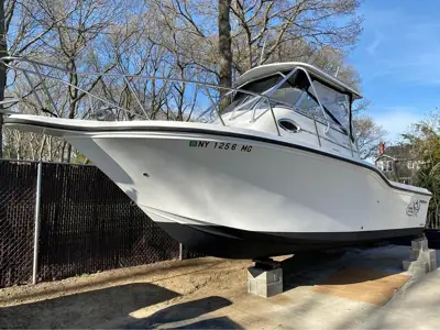 2007 Baha cruiser