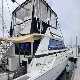 1977 Bertram 42