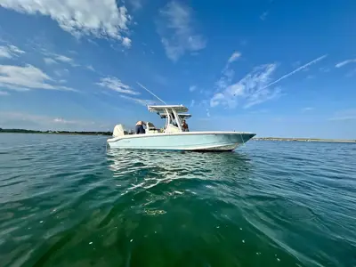 2023 Boston Whaler 250 dauntless