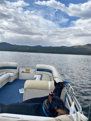 Private Boat Dock with Pontoon Boat on Big Bear Lake California for sale