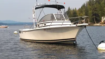 1993 Shamrock Warrior 220 walkaround