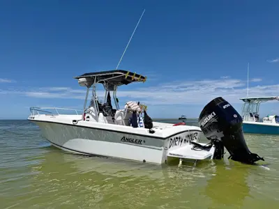 2002 Angler 220