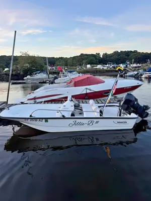2005 Boston Whaler 150 sport