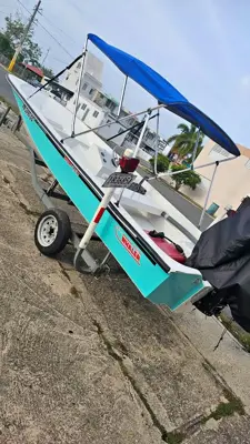 Boston whaler 15’ 1986