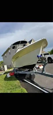 2006 seafox 236