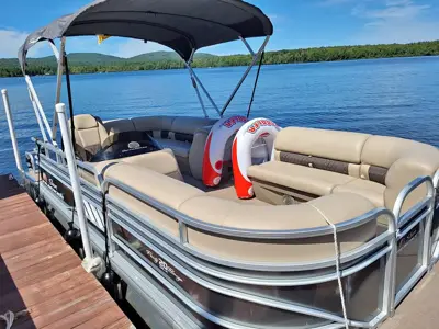2020 20+ft+party+barge cl joe Dlx+sun+traker+60hp+Mercury+outboard