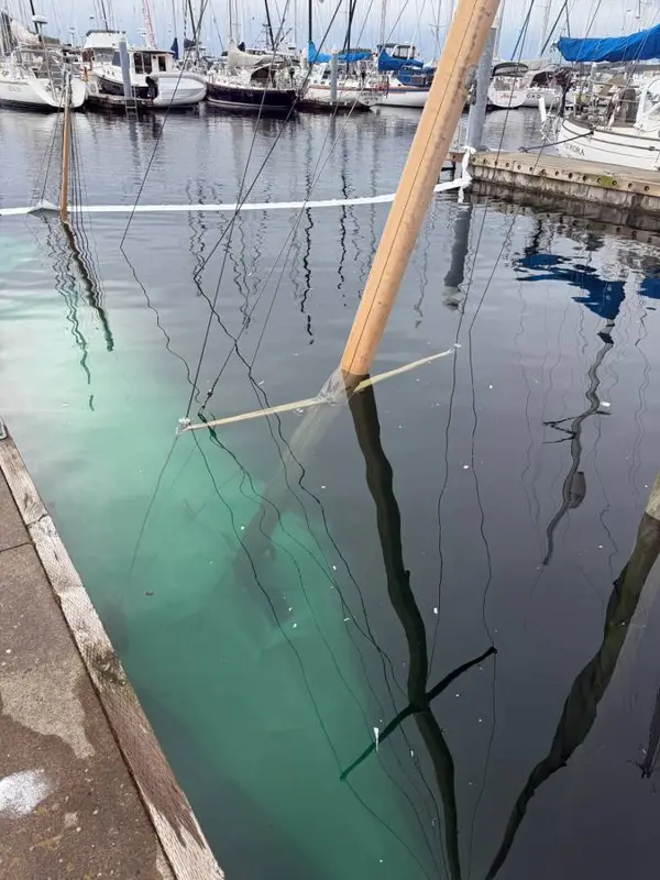 Shilshole Moorage Sublease with live aboard privileges