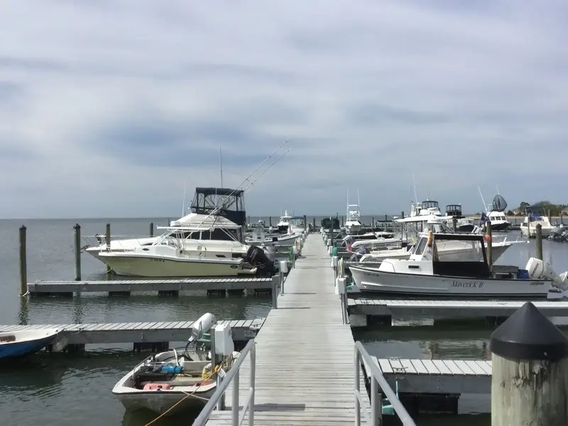 Old Harbor Marina