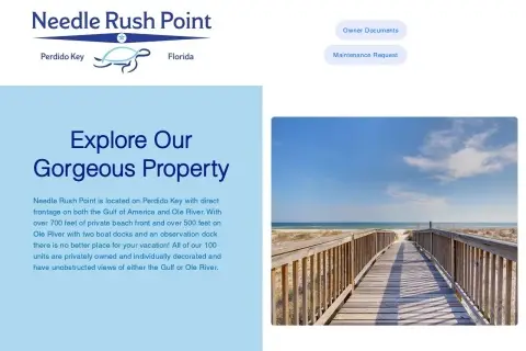 Needle Rush Point