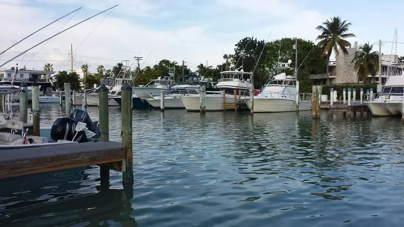Caloosa Cove Resort & Marina