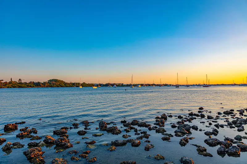 Sarasota Bay Mooring Field