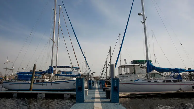Marina Del Ray LA