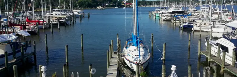 Maryland Yacht Club