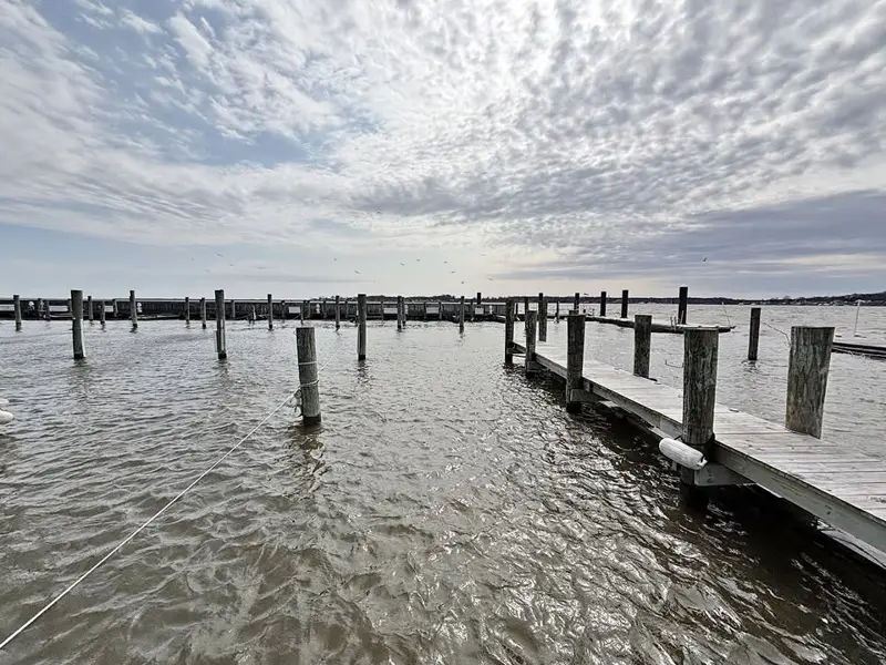 45' Boat Slip for Rent - Bowley's Marina, Essex - MD