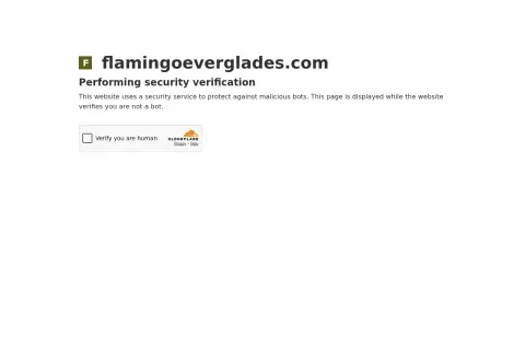 Flamingo Marina