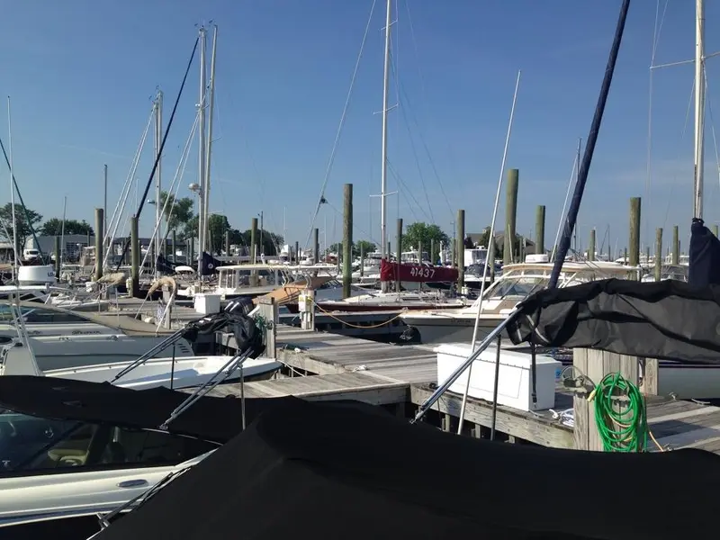 Rex Marine